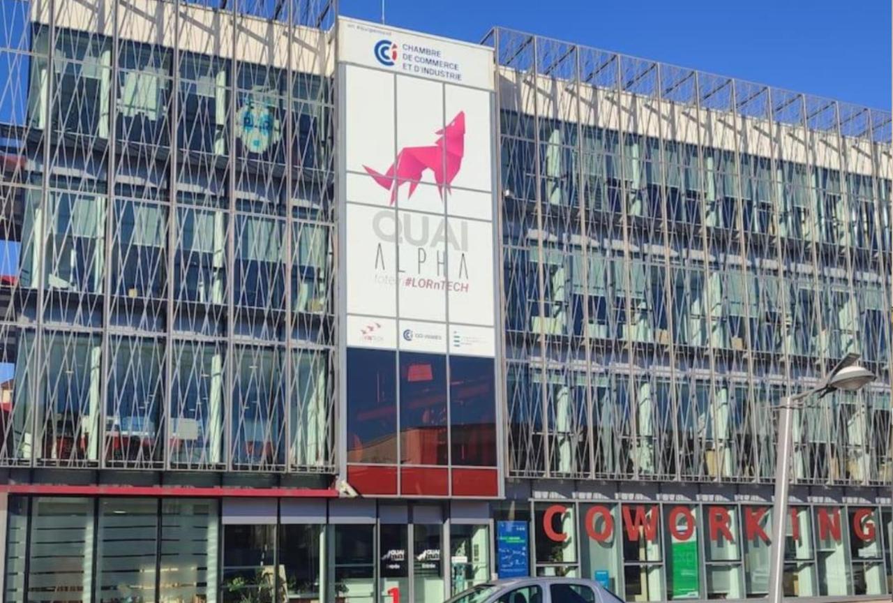 Logement Spacieux - Face A La Gare Et Centre-Ville Épinal Eksteriør bilde